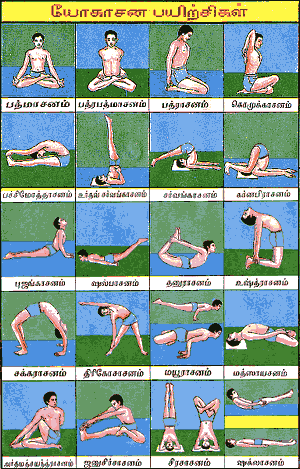 Yoga Pictures Poses on Yoga For